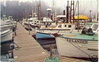 Noyo Harbor